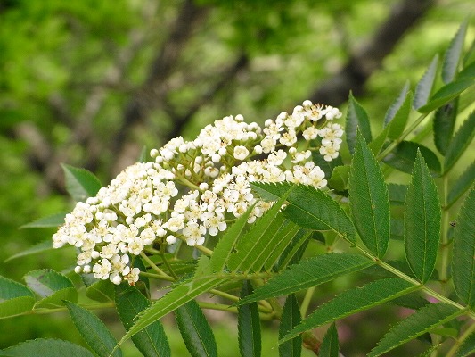 f0187402_22472433.jpg