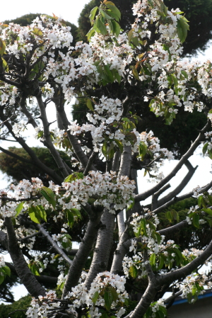 f0041606_19105589.jpg