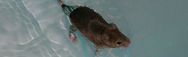 b0112009_630359.png