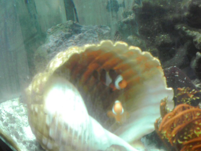 a0291521_8494115.jpg