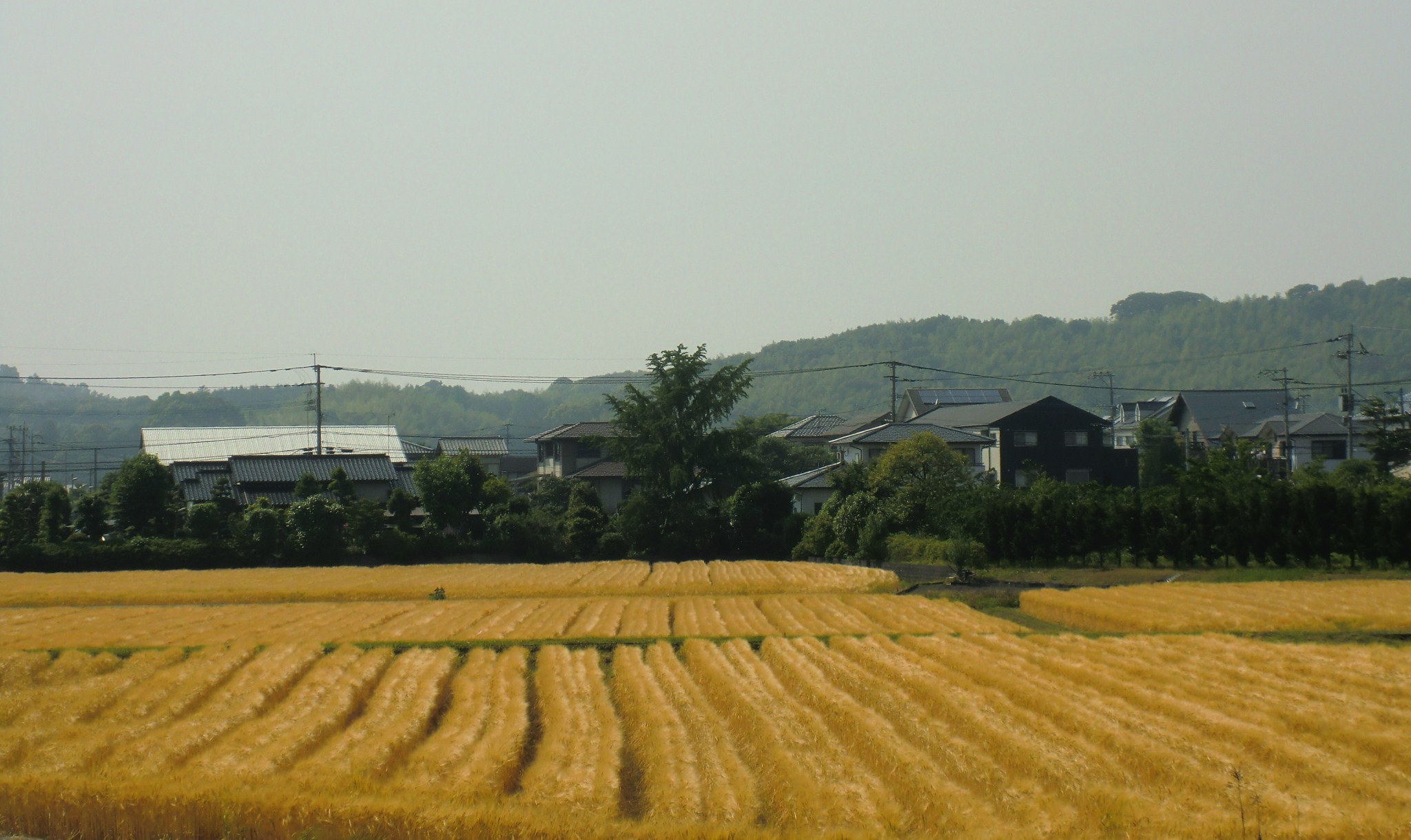 c0095424_10181852.jpg