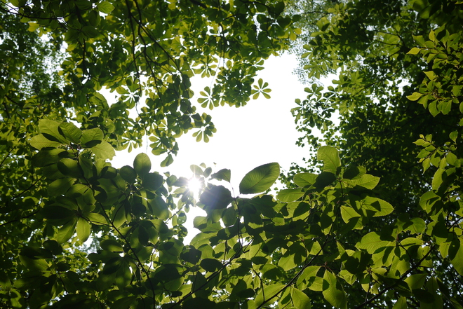 e0200926_9151697.jpg
