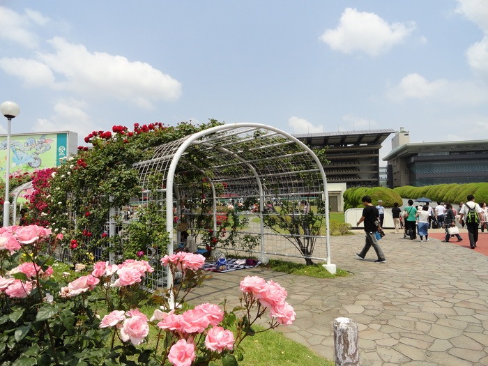f0238932_013553.jpg