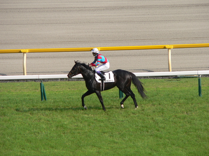 f0238932_09956.jpg