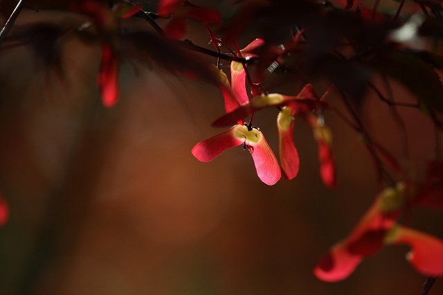 a0242438_1936360.jpg