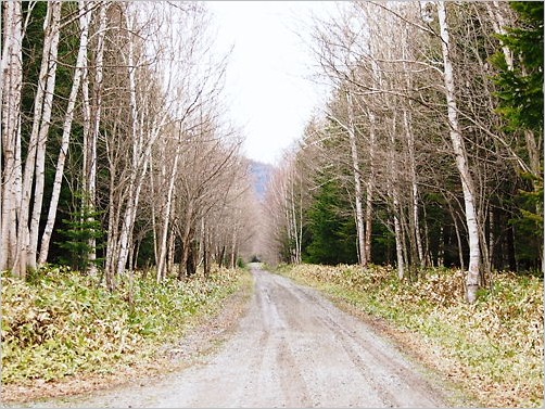 e0022839_2332371.jpg