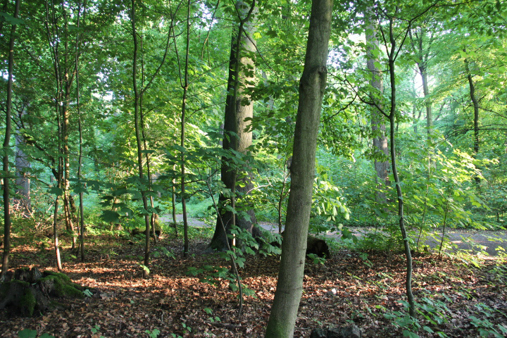 c0153740_20441726.jpg