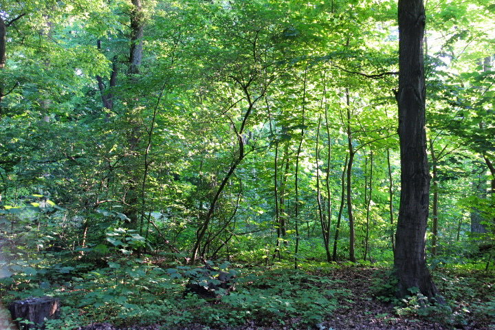 c0153740_20464563.jpg