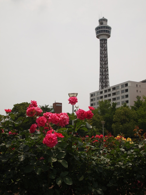 d0267341_165004.jpg
