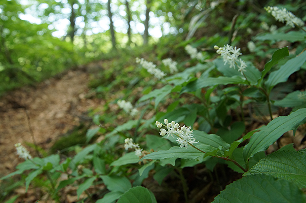 f0214649_16271271.jpg
