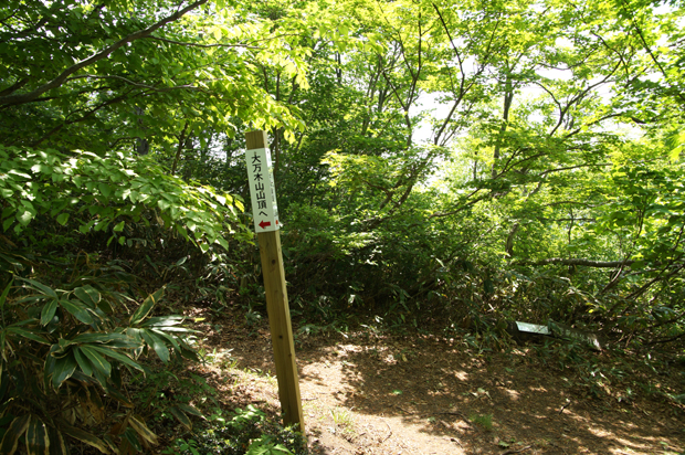f0214649_16291571.jpg
