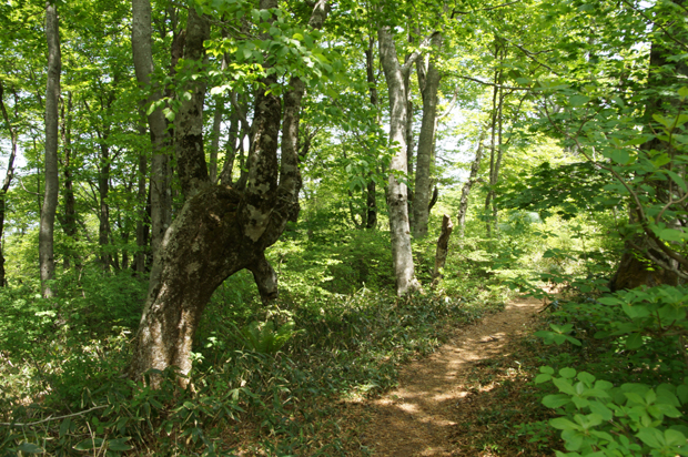 f0214649_16345332.jpg