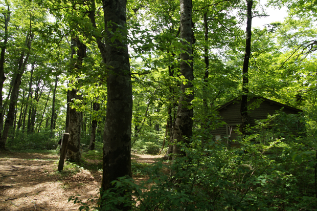 f0214649_16492370.jpg