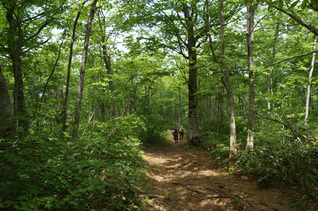 f0214649_16551090.jpg