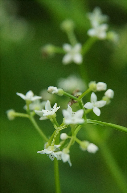 f0214649_46446.jpg