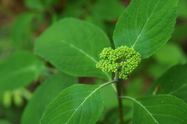 f0214649_61238.jpg