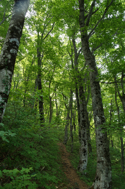 f0214649_6343986.jpg