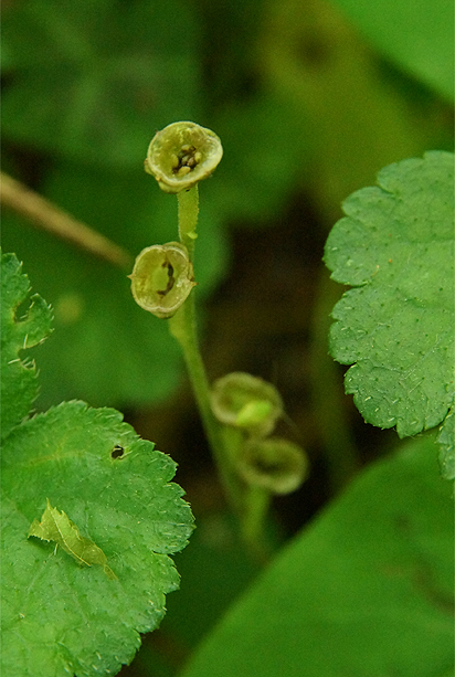 f0214649_67260.jpg
