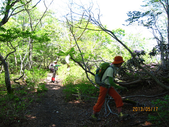 b0148050_22135579.jpg