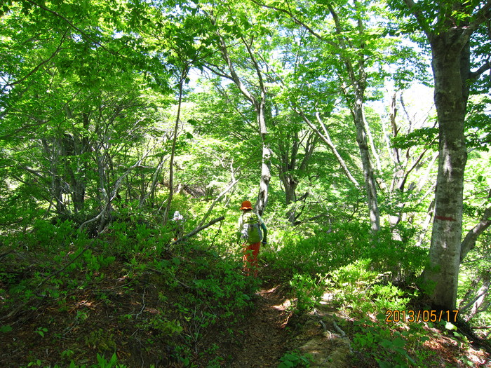 b0148050_22173743.jpg