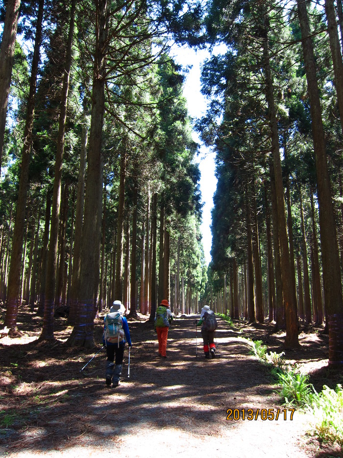 b0148050_2233211.jpg