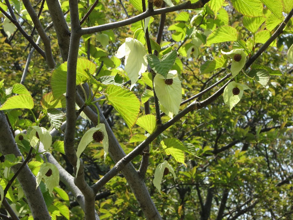 d0048750_1874991.jpg