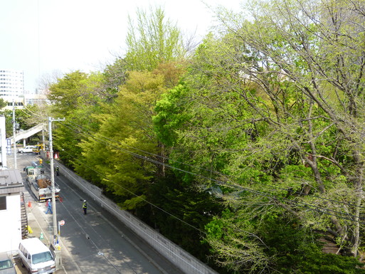 a0193457_210385.jpg