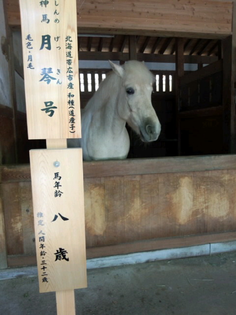 f0195259_23301253.jpg