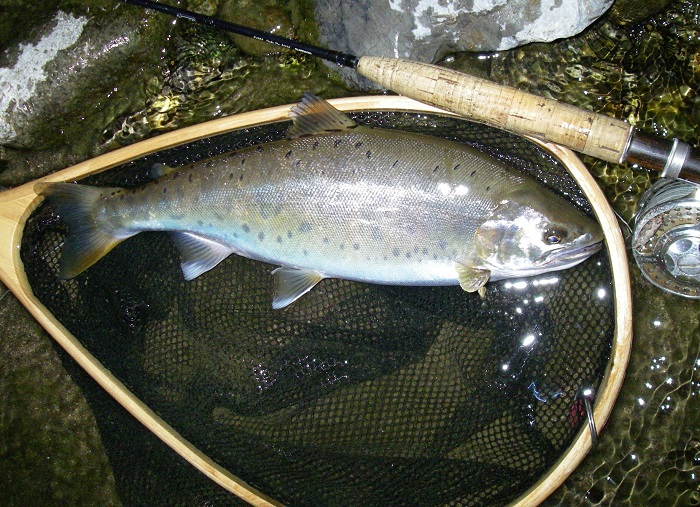 f0212059_2281995.jpg