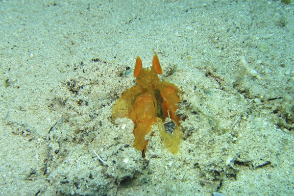b0062363_2074963.jpg