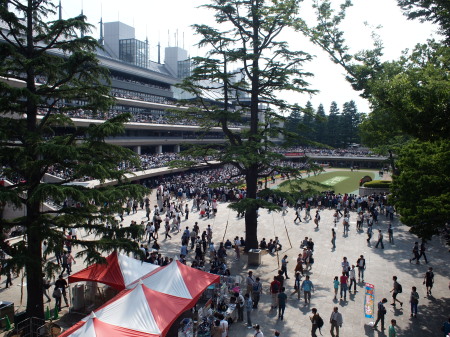 c0122670_7334892.jpg