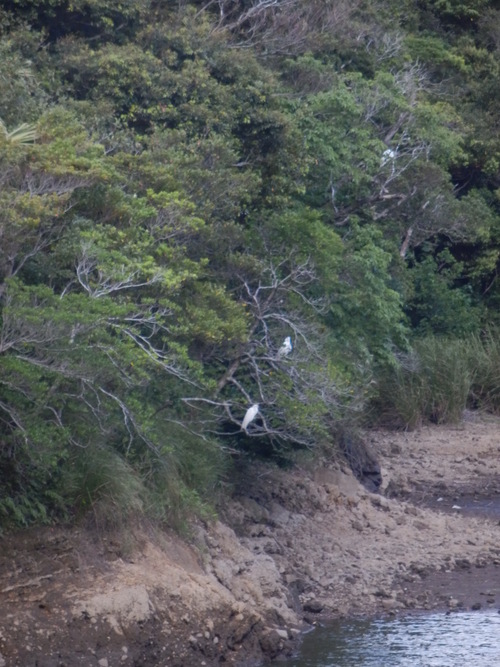 e0292172_20461755.jpg