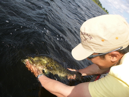e0154274_1250019.jpg