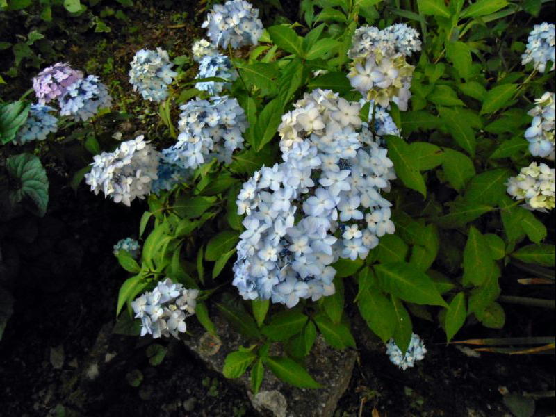 f0123576_18191661.jpg