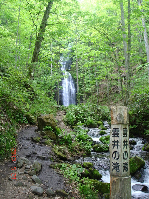 d0165378_11325061.jpg