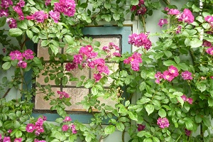 f0166982_2136489.jpg