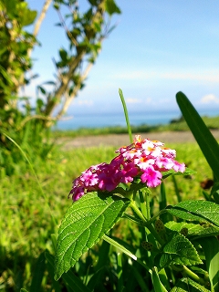d0240983_20572195.jpg