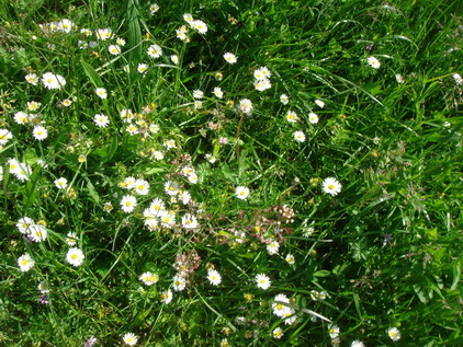 a0247585_73545.jpg