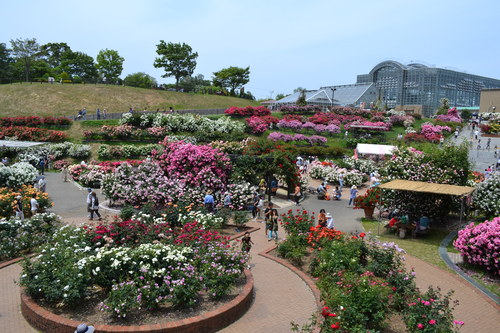 f0232785_9531267.jpg