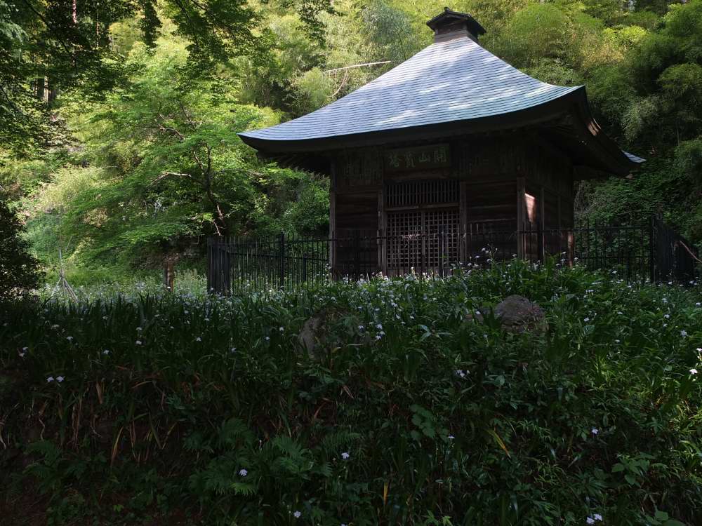 f0202686_22122888.jpg