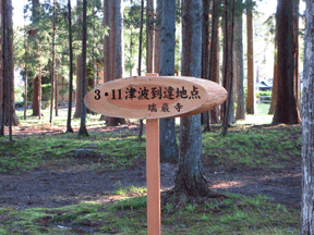 f0110488_0204618.gif