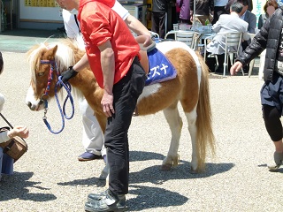 a0161290_0545865.jpg