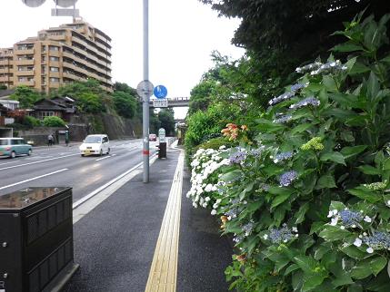 e0048994_9334616.jpg