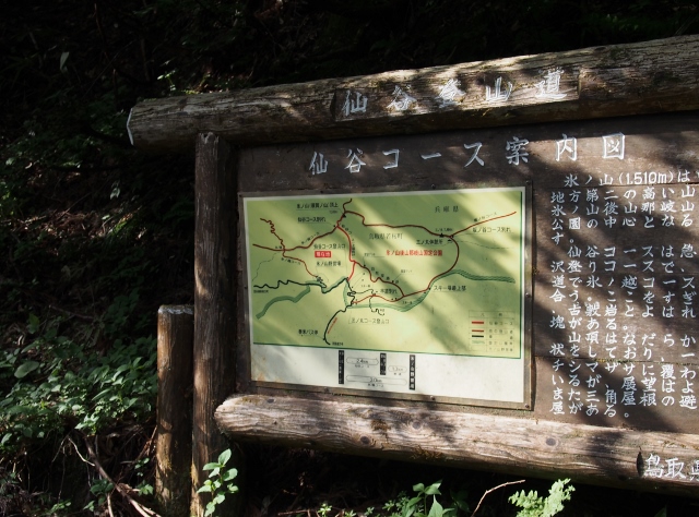 b0039898_8413348.jpg