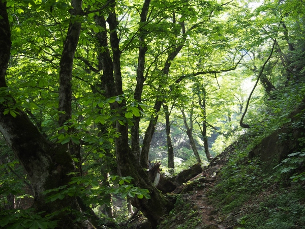 b0039898_845376.jpg