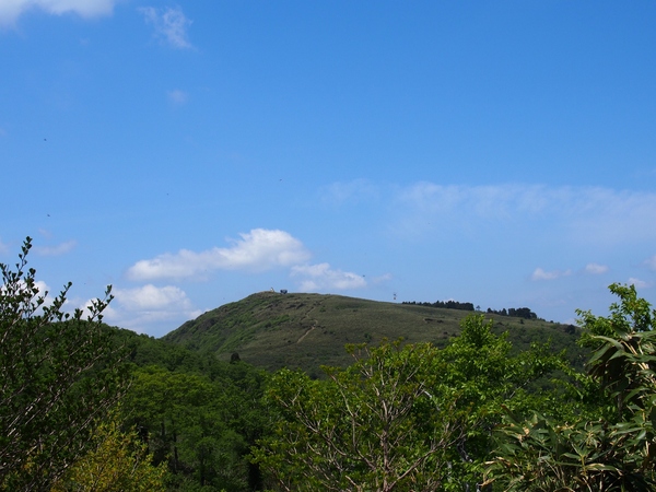 b0039898_9162153.jpg