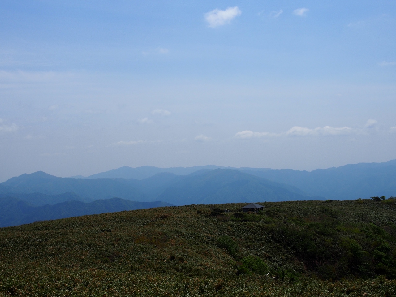b0039898_916231.jpg