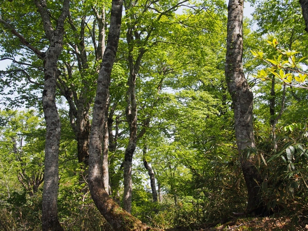 b0039898_9171371.jpg