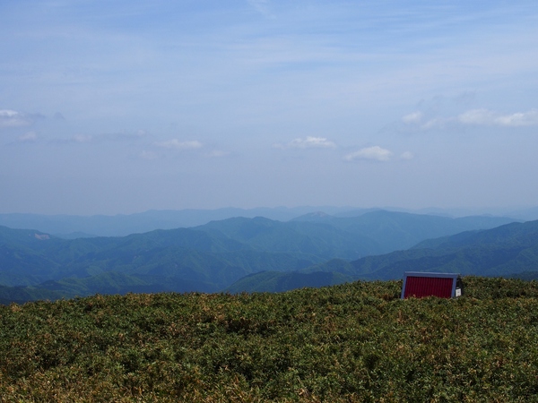b0039898_917594.jpg