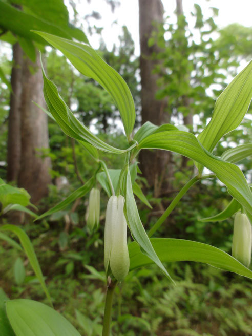 a0061599_759959.jpg